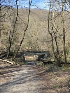 Fotografie z Katona Ferk Mariann na trase