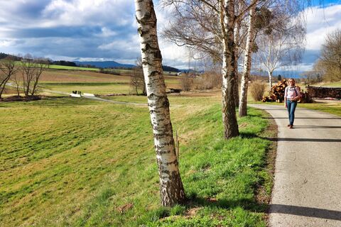 Birkenbäume_Lafnitzau-Runde_Oststeiermark