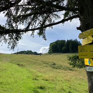 Losenstein-Hohe Dirn Trail