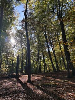 Foto von Katja Zerna entlang der Tour