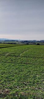 Photo from Jedinko Knezevic along the tour