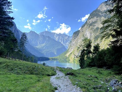 Photo de Yojo le long du parcours