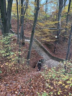 Fotografija s spletne strani Iwona Bambacht na poti