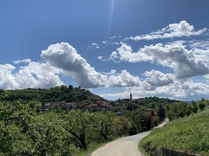 Fotografia z Toni Lerda na trase