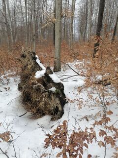 Fotografia z Alibasicalmir na trase