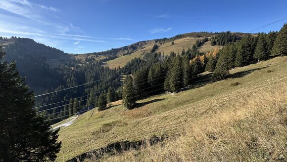 Photo de peter_oe le long du parcours