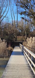 Fotografia z garrincha na trase