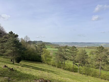 Foto von Norbert Herbig entlang der Tour