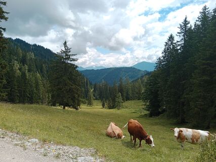 Photo de handshifter le long du parcours