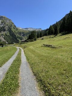 Photo de Oskar Vogel le long du parcours