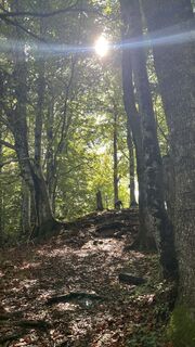 Fotografie z Sabine Offenberger na trase