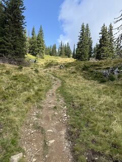 Fotografia z Markus Galla na trase