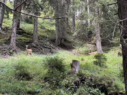 Foto von Yannick Alpinwandern entlang der Tour