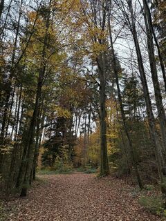 Fotó a ManCam honlapról a túra során