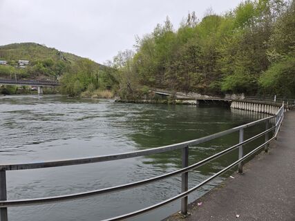 Fotografie z Jwemmenhove na trase