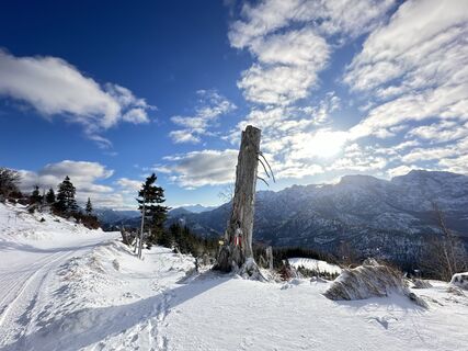 Photo from Natur_erleben_dg along the tour