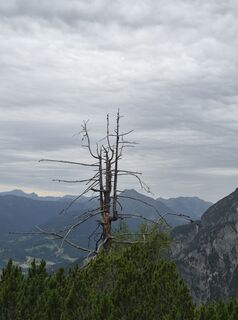 Fotografie z Reise5 Koenigin na trase