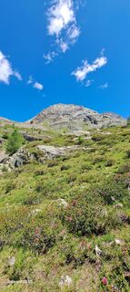 Foto von Amanda Belleri entlang der Tour