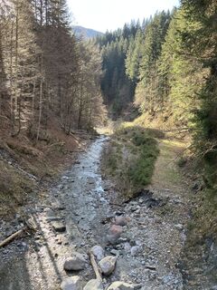 Photo de Paul Dollinger le long du parcours