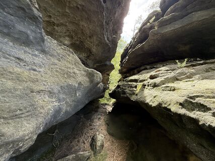 Foto de Norbert Herbig a lo largo del recorrido