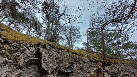 Fotografia z Lydia Pritzova na trase