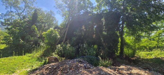 Fotografia z Utassy Tóth Johanna na trase