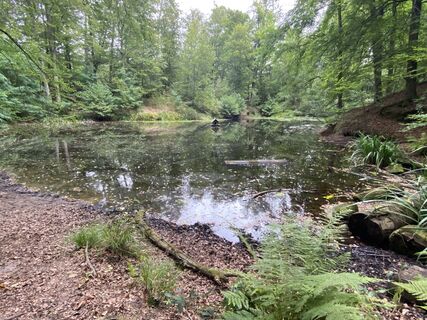 Foto von Arthur Muskalla entlang der Tour