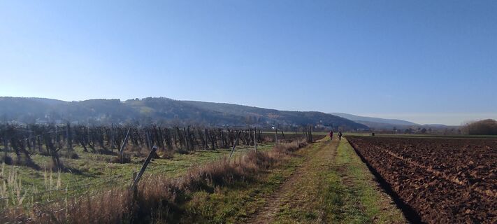 Fotografia z Làszló Visi na trase