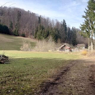 Weißn Trail - Nußbach
