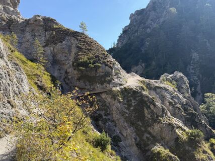 Photo de Johannes Lehner le long du parcours