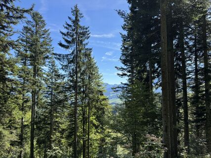 Foto de Marie-Therese a lo largo del recorrido