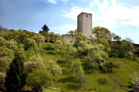 Greener Burg