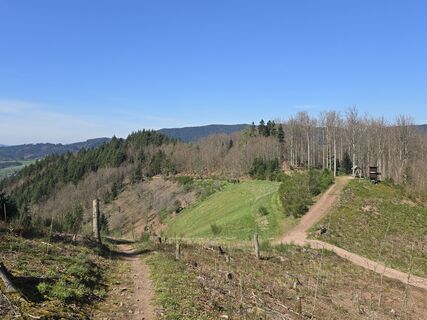 Foto von Michel Kennel entlang der Tour