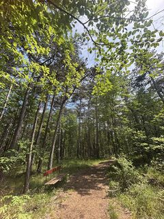 Fotó a RS76 honlapról a túra során