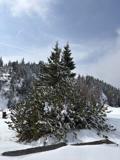 Foto von Heinz Sperl entlang der Tour