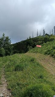 Foto von Montys entlang der Tour