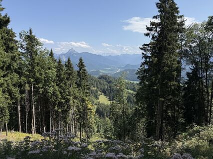 Foto von Anna Andrzejewska entlang der Tour