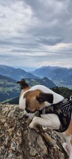 Foto von Mircoeuteneuer51 entlang der Tour