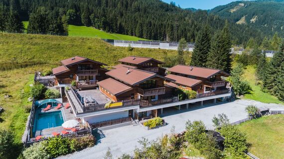 Alpin Chalet Flachauwinkl