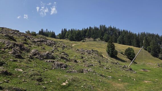 Foto von Gabriele Wagener entlang der Tour