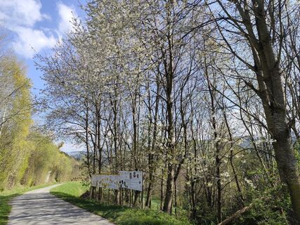 Foto von Barbara Galle entlang der Tour