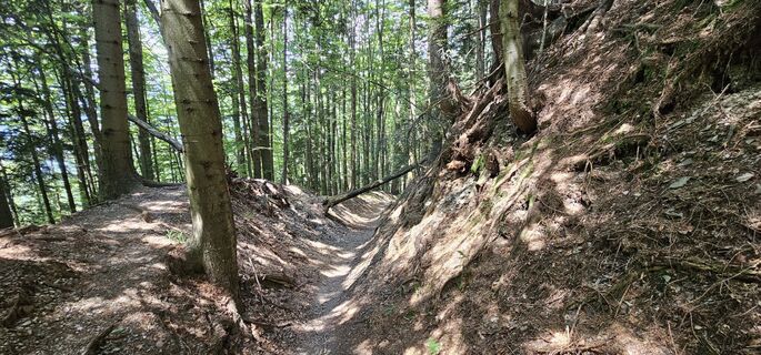 Kuva osoitteesta Nico matkan varrella