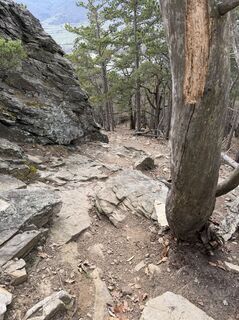 Fotografija s spletne strani RoKo Activity - Guide na poti