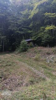 Photo de Jacky belzung le long du parcours