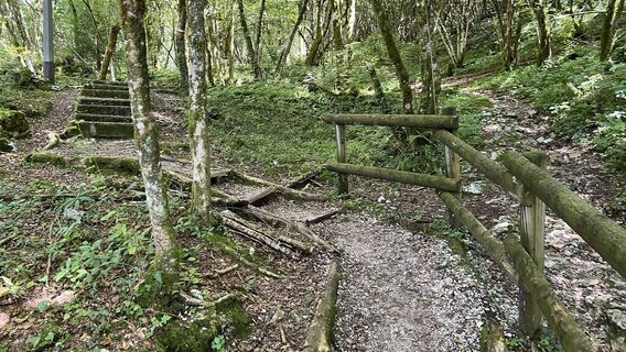Foto von Pezzotta entlang der Tour