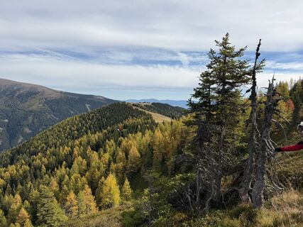 Foto de Gerti Glettler a lo largo del recorrido