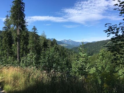 Ausblick entlang der Strecke