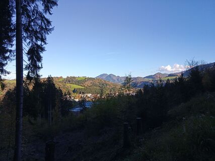 Fotografia z Wanderkatze na trase