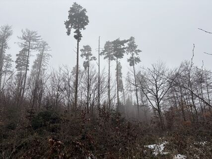 Fotografie z Georgiamartin0815 na trase