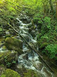 Fotografia z Famke Duijkers na trase